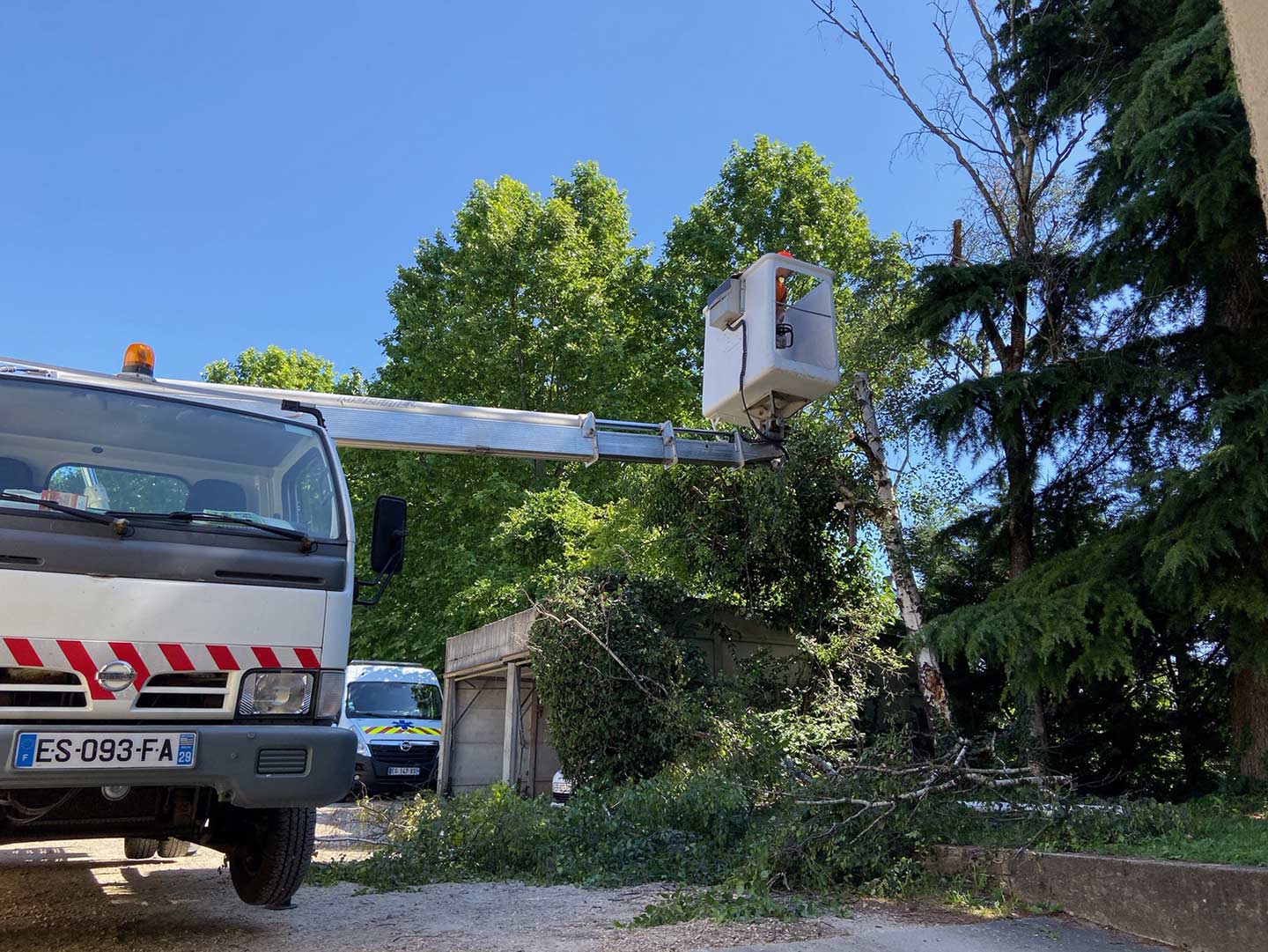 Abattage de 2 bouleaux avec nacelle à Saint Martin de Crau