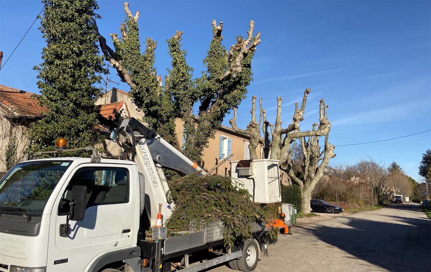 Elagage de platanes avec nacelle à Meyreuil